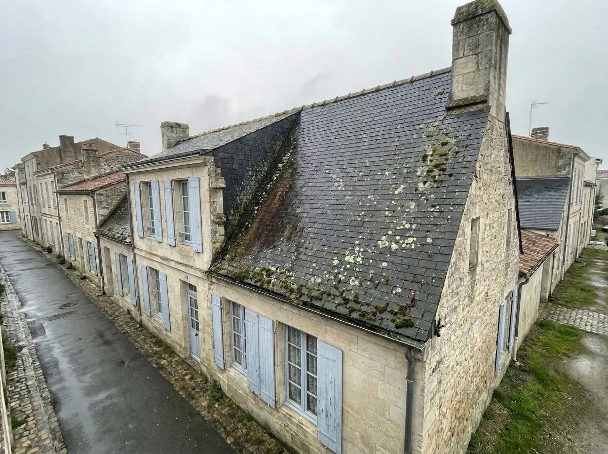 Avant : Une toiture en ardoise nettoyée sans y marcher, à La Rochelle